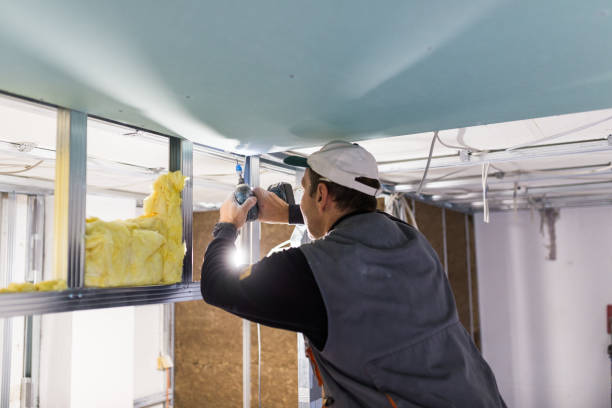 Best Spray Foam Insulation in Homestead Valley, CA