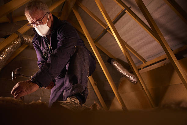 Best Commercial Insulation in Homestead Valley, CA